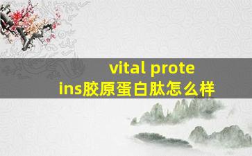 vital proteins胶原蛋白肽怎么样